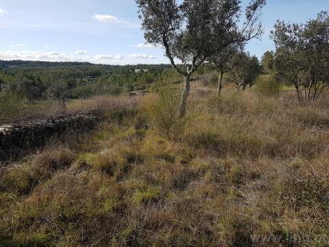 Terreno em Cebolais de Cima, Castelo Branc...