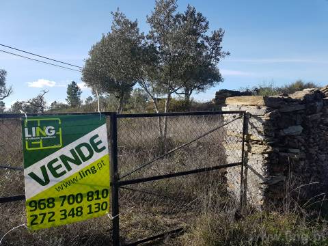 Terreno em Cebolais de Cima, Castelo Branc...