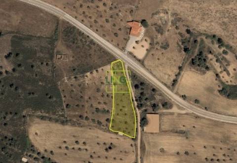 Terreno em Cebolais de Cima, Castelo Branc...