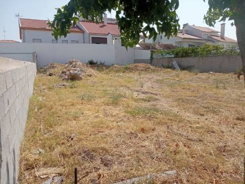 Lote de terreno para construção de uma moradia geminada em Castelo Branco
