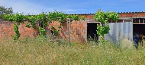Terreno Rústico á entrada dos Toulões, Idanha-a-nova.