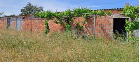 Terreno Rústico á entrada dos Toulões, Idanha-a-nova.
