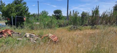 Terreno Rústico á entrada dos Toulões, Idanha-a-nova.