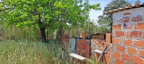 Terreno Rústico á entrada dos Toulões, Idanha-a-nova.