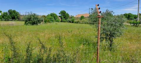 Terreno Rústico á entrada dos Toulões, Idanha-a-nova.