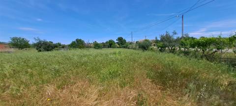 Terreno Rústico á entrada dos Toulões, Idanha-a-nova.