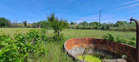 Terreno Rústico á entrada dos Toulões, Idanha-a-nova.