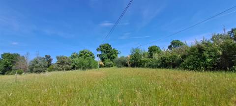 Terreno Rústico á entrada dos Toulões, Idanha-a-nova.