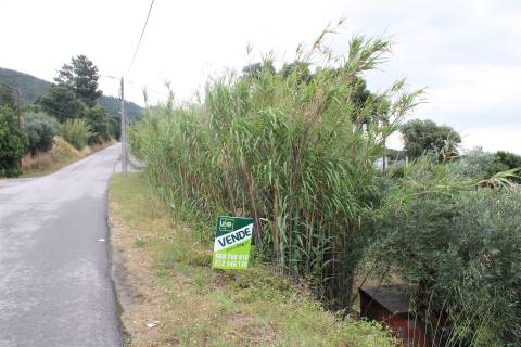 Quinta com 13.243 m2 na freguesia de Vale de Prazeres e Mata da Rainha, Fundão.