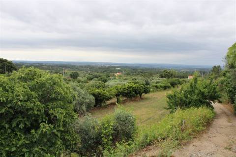 Quinta com 13.243 m2 na freguesia de Vale de Prazeres e Mata da Rainha, Fundão.