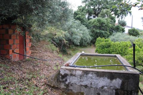 Quinta com 13.243 m2 na freguesia de Vale de Prazeres e Mata da Rainha, Fundão.