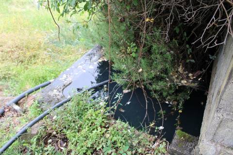 Quinta com 13.243 m2 na freguesia de Vale de Prazeres e Mata da Rainha, Fundão.