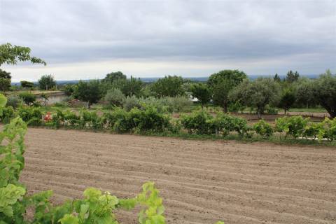 Quinta com 13.243 m2 na freguesia de Vale de Prazeres e Mata da Rainha, Fundão.