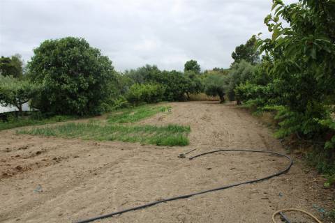 Quinta com 13.243 m2 na freguesia de Vale de Prazeres e Mata da Rainha, Fundão.