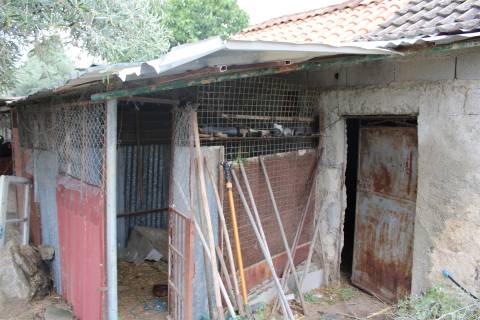 Quinta com 13.243 m2 na freguesia de Vale de Prazeres e Mata da Rainha, Fundão.