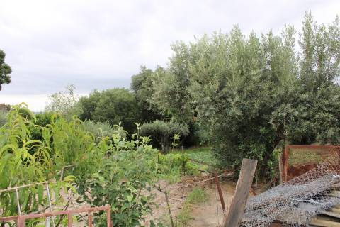 Quinta com 13.243 m2 na freguesia de Vale de Prazeres e Mata da Rainha, Fundão.