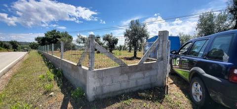 Terreno Rústico - 1.34 ha - Viabilidade de Construção - Freixial e Juncal do Campo