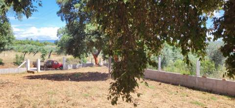 Terreno Rústico - 1.34 ha - Viabilidade de Construção - Freixial e Juncal do Campo