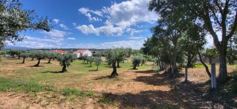 Terreno Rústico - 1.34 ha - Viabilidade de Construção - Freixial e Juncal do Campo