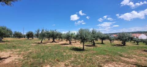 Terreno Rústico - 1.34 ha - Viabilidade de Construção - Freixial e Juncal do Campo