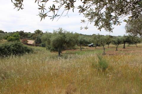 Terreno Rústico, Malpica do Tejo
