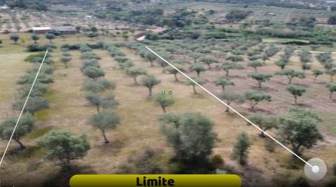 Terreno Rústico, Malpica do Tejo
