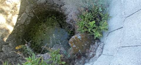 Terreno Rústico em Aldeia do Bispo