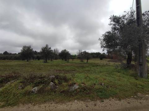 Terreno Rústico em Aldeia do Bispo