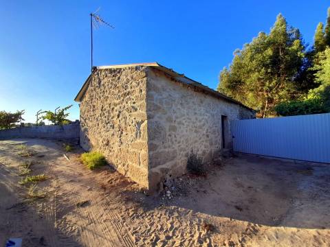 Farm 1000m2 - Póvoa de Rio de Moinhos