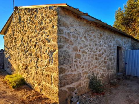 Farm 1000m2 - Póvoa de Rio de Moinhos