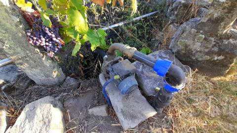 Farm 1000m2 - Póvoa de Rio de Moinhos