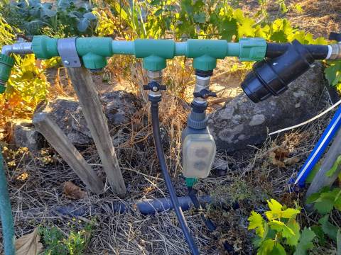 Farm 1000m2 - Póvoa de Rio de Moinhos