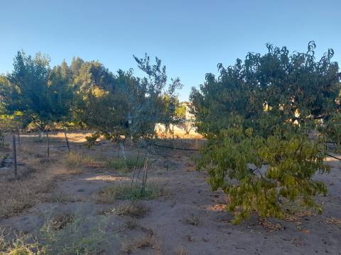 Farm 1000m2 - Póvoa de Rio de Moinhos