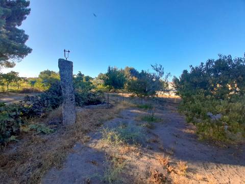 Farm 1000m2 - Póvoa de Rio de Moinhos