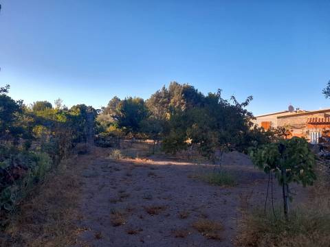 Farm 1000m2 - Póvoa de Rio de Moinhos