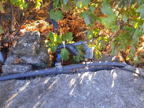 Farm 1000m2 - Póvoa de Rio de Moinhos