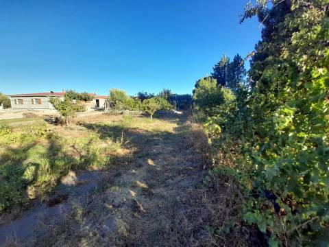 Farm 1000m2 - Póvoa de Rio de Moinhos