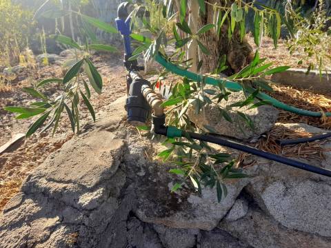 Farm 1000m2 - Póvoa de Rio de Moinhos