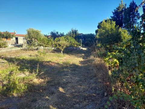 Farm 1000m2 - Póvoa de Rio de Moinhos