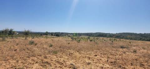 Terreno Rústico com cerca de 2.8ha - Tinalhas