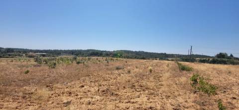 Terreno Rústico com cerca de 2.8ha - Tinalhas