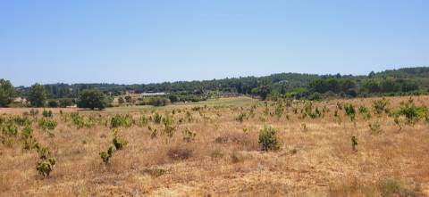 Terreno Rústico com cerca de 2.8ha - Tinalhas