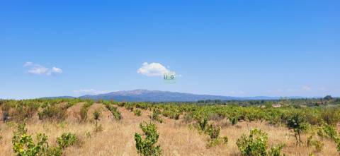 Terreno Rústico com cerca de 2.8ha - Tinalhas