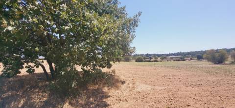 Terreno Rústico com cerca de 2.8ha - Tinalhas