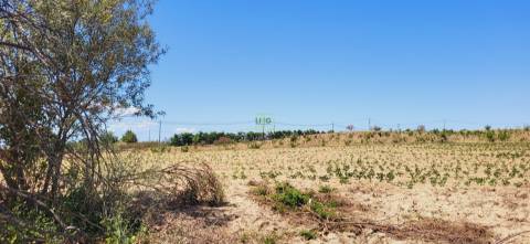 Terreno Rústico com cerca de 2.8ha - Tinalhas