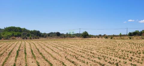 Terreno Rústico com cerca de 2.8ha - Tinalhas