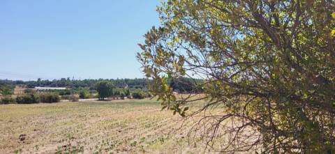 Terreno Rústico com cerca de 2.8ha - Tinalhas