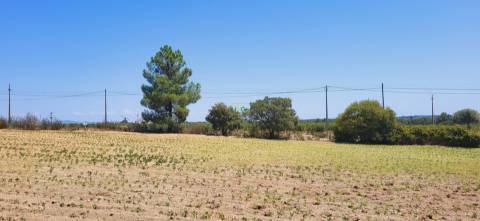Terreno Rústico com cerca de 2.8ha - Tinalhas