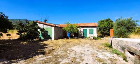 Quinta - 6140m2 - Louriçal do Campo