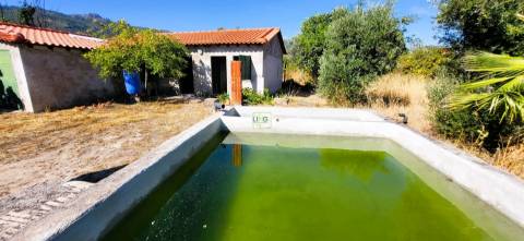 Quinta - 6140m2 - Louriçal do Campo